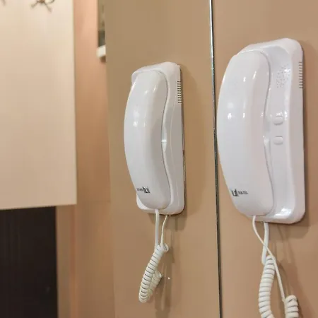 Viking Gold * 즐라티보