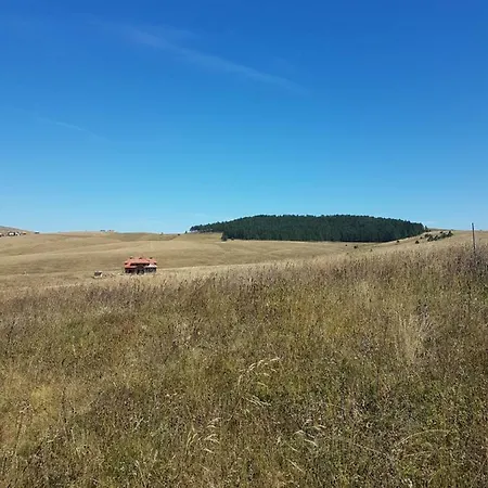 Viking Gold * Zlatibor