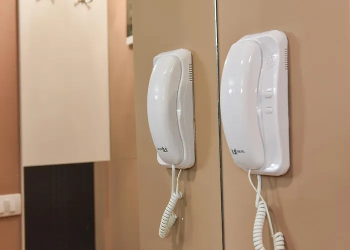 Viking Gold * זלאטיבור