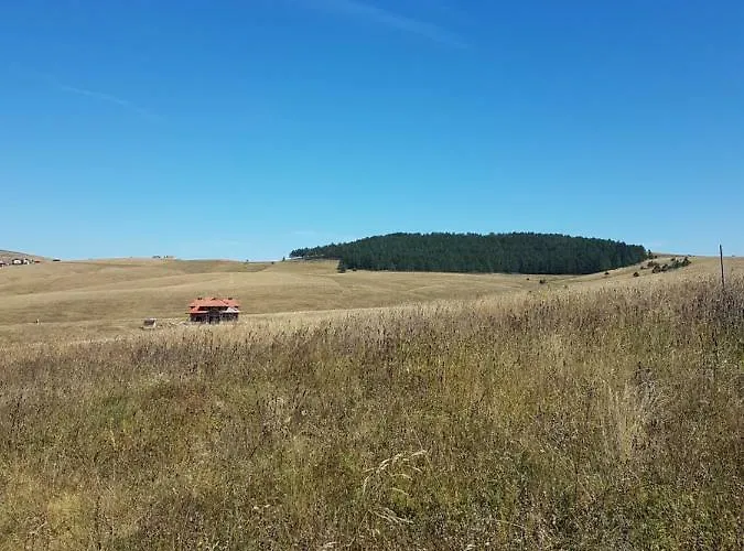 Viking Gold * זלאטיבור